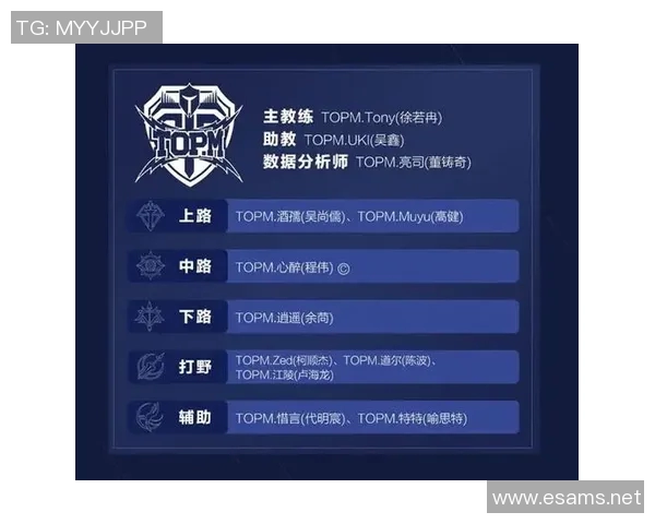 王者荣耀深度分析:探索WE战队在战术灵活性上的独特优势与表现