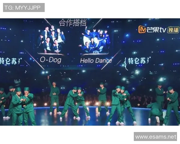 重庆街舞队技术解析:探索街舞艺术的魅力与创新之路