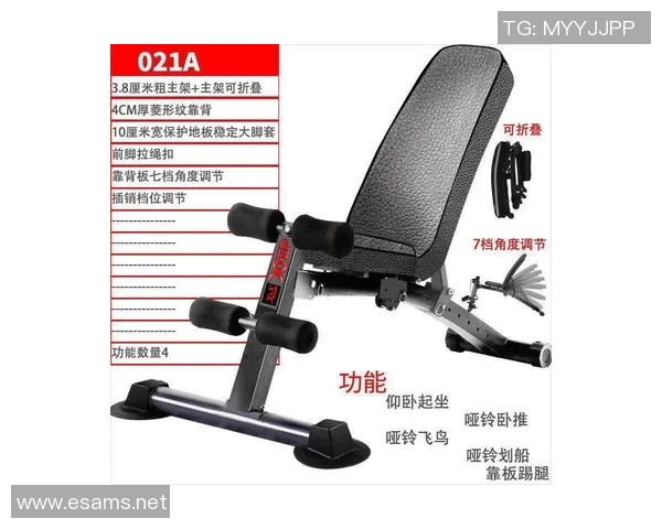 飞鸟健身器材应用及滑轮系统优势解析