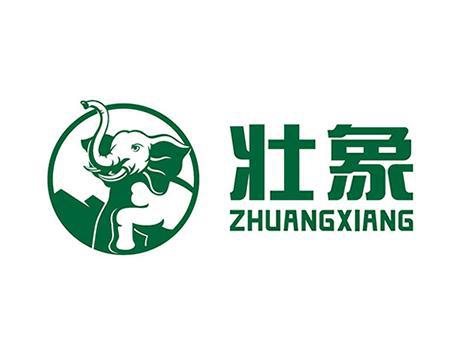 必一运动板材十大品牌最新排行榜（2025年）(图10)