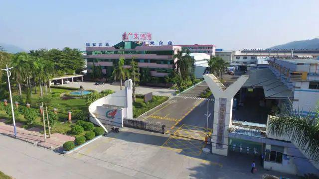 BSports官网肇庆正年青！(图14)
